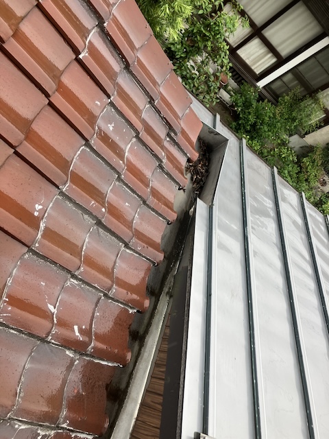 不適切なラバーロック・別角度